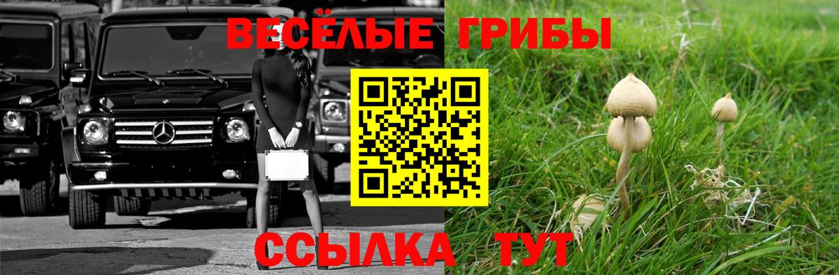 Псилоцибиновые грибы Psilocybine cubensis Ишимбай