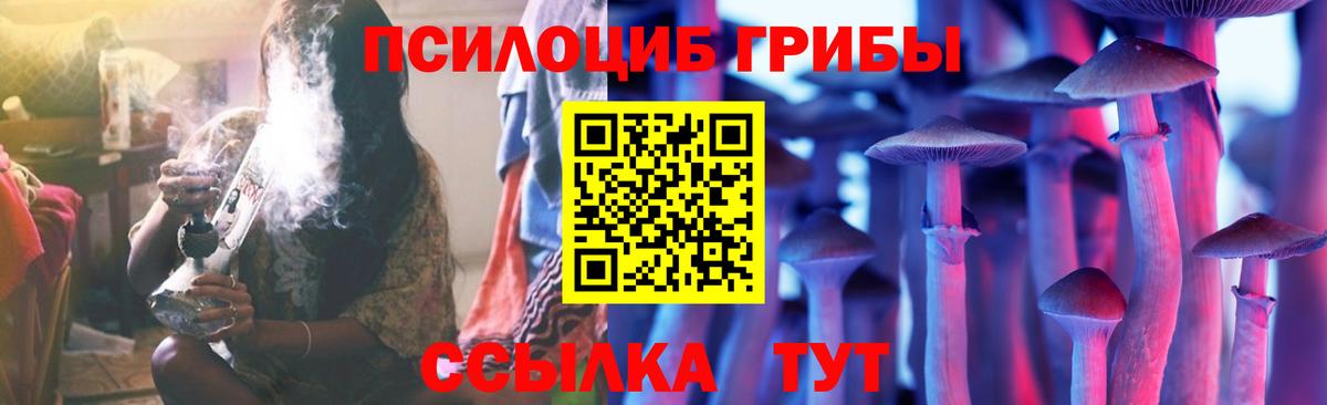 Ишимбай  Псилоцибиновые грибы Psilocybe  Вход с VPN 